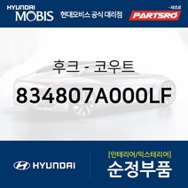후크-코우트 (834807A000LF) E마이티WIDE 5톤 슈퍼트럭 메가트럭 8톤 트럭 11톤 트럭 뉴 파워트럭