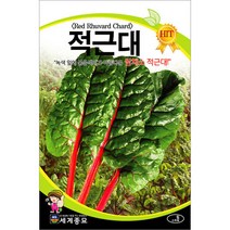 적근대 씨앗 근대 종자 상추 쌈 쌈채소 채소 씨 200알