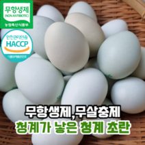 [영양분가득청계초란] 마미템 무항생제 청계란 청란 청계알 난각번호2번 방사 유정란 계란 초란 30구 60구, 2개