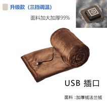 USB 전기담요 캠핑 차박용 휴대용 3단온도조절, 브라운/3단온도조절/140x80cm