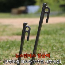 JIR219979더뉴스텐레스 합금팩 20cm 1개당