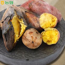 안면도농협 못난이 호박고구마 5kg, 단품