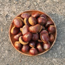 공주 햇밤 정안 알밤 칼집밤 옥광밤 대보밤 생률 생율 조생 에어프라이어, [칼집o] 칼집밤 2kg 대