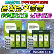 식약처인증 중년 여성 두뇌영양제 은행잎 징코 기억력 집중력 인지력 콜레스톨 콜레스테롤 LDL HDL 혈관 혈중 혈행 건강 에좋은 포스파티딜세린 포스타딜세린 GINKGO 진코 효능