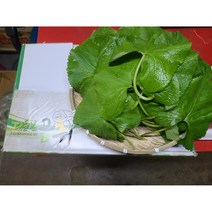 #가락시장 나물이네# 당일경매 /향긋한 곰취나물 2kg 1kg 400g 내외// 오후 2시이전주문당일출고99% / 주말 공휴일제외, 1개
