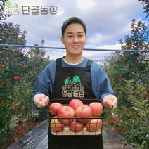 산지직송 경북 새콤달콤 빨간 후지 부사 사과, 4kg내외 / 정품 / 중과 / 16~18과