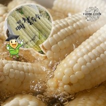 팜쿡 [팜쿡]괴산 삶은 대학찰옥수수 냉동 21개(팩당3개)