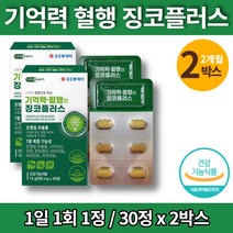 징코 플러스 빌로바 은행엽 공부 수험생 대학생 대치동 기억력 혈행 부모님 어르신 영양제 은행추출물 플라보놀 ginkgo 나이아신 아연 판토텐산, 2개
