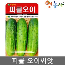 피클오이 씨앗 50립