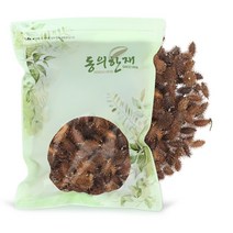 동의한재 자연산 국산 햇 도꼬마리 창이자 독고마리 600g, 단품