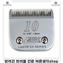 사료잘안먹는강아지 약먹기싫어하는강아지손쉽게먹이는 반려견사료 사료추천 5개월강아지사료 4개월강아지사료 강아지6개월 푸들사료추천