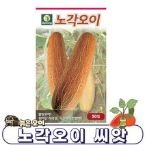 노각오이 50립/오이씨앗 오이 오이씨 맛있는오이 늙은오이 노란오이 건강오이 /DW1, 1개