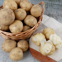 22년 햇감자 포슬포슬 수미감자 중 1.5kg, 1개