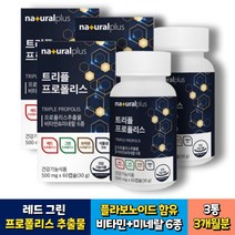 어린이 항산화 레드 프로폴리스 플라보노이드 츄어블 60캡슐x3통 3개월분 식약처인증 구강건강 면역력 씹어먹는 키즈 유아 성인 propolis