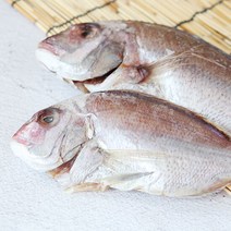 [산지직송] 자연산 여수 반건조 참돔(대) 3미, 단품
