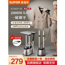 스팀 다리미 빠른예열 전기 와이셔츠 자동다림질 사무실 소형 교복392662 L6, 01. 티타늄그레이392662 L6
