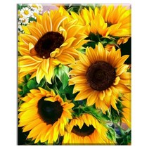 FASEN diy보석십자수 캔버스 형액자 세트 40cm x 50cm, AYW-112