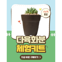 커피박 친환경화분 소 만들기 패키지