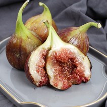 해남 무화과 2023년 수확 GAP인증 햇무화과, 12팩(51-55과/5.2-5.5kg)