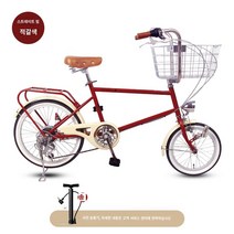 자전거 Hanshida 일본 자전거 여성 성인 복고풍 경량 패션 애완 동물 통근 프랑스 그물 빨간색 가변 속도 자전거, 6단 속도, 20인치, 적갈색
