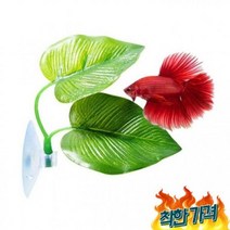 모비딕 하프문베타 관상용새우 하프문 베타 꽃 침대 어항 꾸미기 구피 새우 키우기, 1개