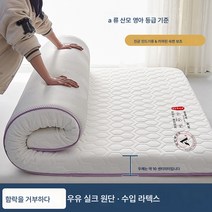 라텍스 매트리스 쿠션 가정용 다다미 요 기숙사 싱글 1m 5수면 전세 전용 매트리스 이불, 색깔6, 옵션1