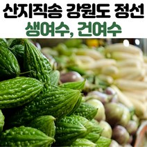 산지직송 강원도 정선 무농약 여주 생여주 건여주 말린여주 500g 1kg 5kg 10kg, 말린여주_500g