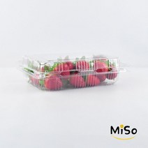 ST-11번 과일용기300g 투명과일포장 산딸기용기 300g 복분자포장 400개