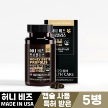 허니 비즈 프로폴리스 bee propolis 60캡슐 특허 캡슐 먹는방법, 5병, 허니 비즈 프로폴리스 600mg x 60캡슐