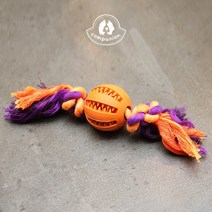 컴패니언 스케일링 볼(원형)