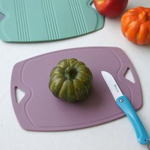 실리콘 이유식도마 칼집안나는 항균 살균 위생 국민 미니 자취생 주방 캠핑용 친환경 낚시, 퍼플