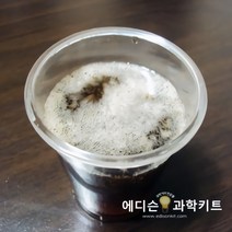 콜라만들기(10인용)