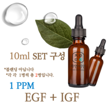 에코문 EGF+FGF 1ppm 2EA세트-10ml 원액 앰플 에센스, 1개, 10ml