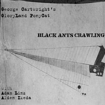 Black Ants Crawling null, 1