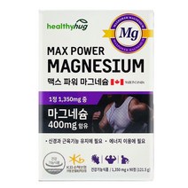 마그네슘 마그네슘보충제 맥스파워 마그네슘영양제 90