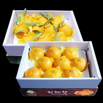 한아름드린 농협 한라봉3kg12-13과/천혜향3kg15과 묶음세트, 1