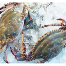 국내산 활꽃게 생물 가을 제철 꽃게 산지직송 1kg 2kg 3kg 서해 태안 신진도, 생물1kg(4미내외), 1개