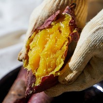 해남 무농약 세척 꿀고구마 베니하루카 황토 고구마 베로니카 황금 고구마 3kg 5kg 10kg, 한입