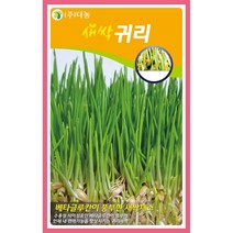 새싹귀리씨앗 30g, 1개