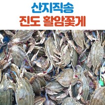 산지직송 진도 활꽃게 1kg 2kg, 활꽃게_2kg