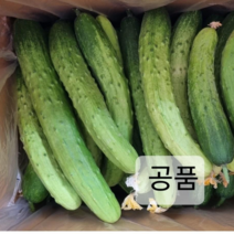 산지직송 못난이 (공품)백다다기오이 50개(10kg) 오이지, 백다다기오이 10kg (50입), 1개