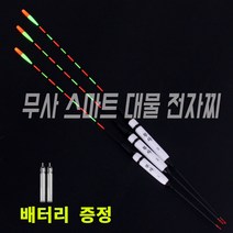 무사 긴목 LED 2점등 전자찌 1P + 배터리 425 2P 왕볼튜닝 바다 민물전자찌 초고선명 고밀도 나노소재 카본다리 시인성 센서찌 스마트전자찌 광섬유 전자탑, 3호