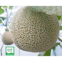 세지메론 고당도 머스크 세론이 멜론 11~13Brix 보통~특품 GAP인증 세지농협, 노랑박스(13Brix-특급) 1.25kg x 3통, 3개
