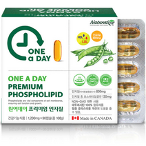 네추럴라이즈 원어데이 프리미엄 인지질 1200mg 90캡슐, 90정, 1개