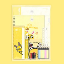카카오프렌즈 A+ 문구세트 9900, 1세트, 무지9900
