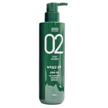 아모스 녹차실감샴푸 리프레시 500g 아모스프로페셔널