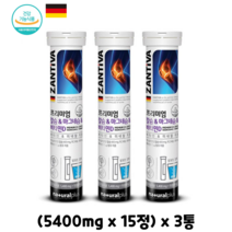 잔티바 물에 타먹는 독일 발포 발포형 비타민 칼슘 마그네슘 비타민D 15정x5통 뼈 치아 칼슘제 건강기능식품, 2개, 15정 X 3통