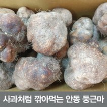 안동 둥근마 중품 5kg (정직을 배달합니다), 안동둥근마 중품 10kg