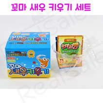 리얼세일(Realsale) 꼬마 새우키우기/꼬마 새우 키우기/새우키우기/씨몽키, 3개