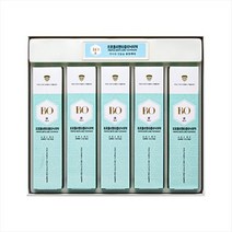 보 프로폴리덴타네츄럴 치약 선물세트 120gX5개 구강 청결 항산화 구내염 완화 구취제거, 120g x 5개
